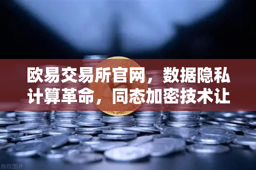欧易交易所官网，数据隐私计算革命，同态加密技术让数据可用不可见