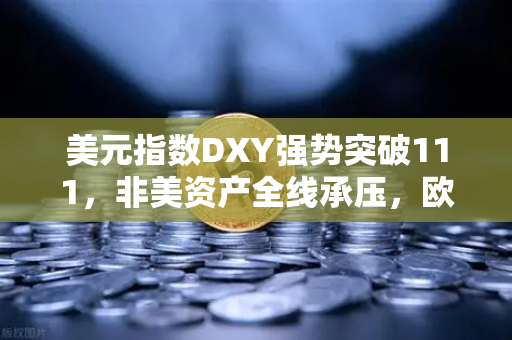 美元指数DXY强势突破111，非美资产全线承压，欧易交易所用户如何应对当前市场变局？