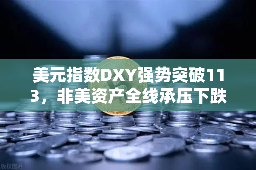 美元指数DXY强势突破113，非美资产全线承压下跌，全球金融格局迎来新拐点