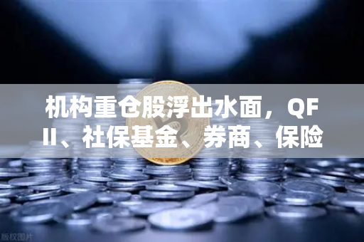 机构重仓股浮出水面，QFII、社保基金、券商、保险联手布局，多家涉币概念股现身其中