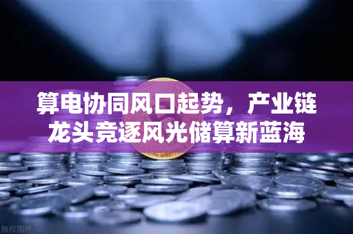 算电协同风口起势，产业链龙头竞逐风光储算新蓝海