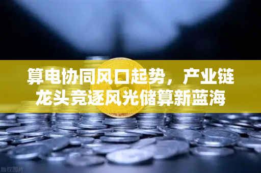 算电协同风口起势，产业链龙头竞逐风光储算新蓝海