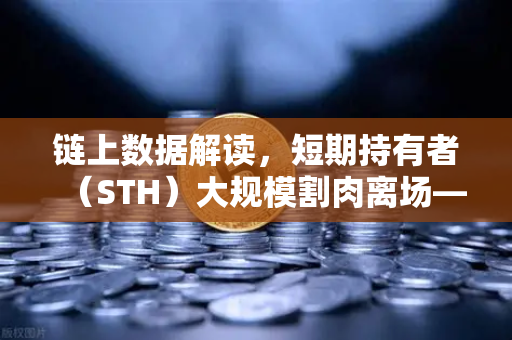 链上数据解读，短期持有者（STH）大规模割肉离场—市场底部信号已现？