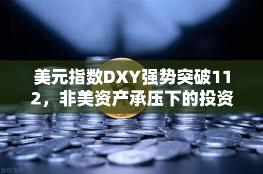 美元指数DXY强势突破112，非美资产承压下的投资新格局