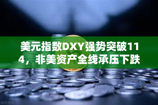 美元指数DXY强势突破114，非美资产全线承压下跌，欧易交易所官网深度解析市场震荡与投资策略