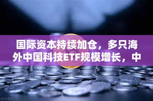 国际资本持续加仓，多只海外中国科技ETF规模增长，中概股与加密资产联动新格局解析