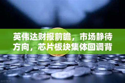 英伟达财报前瞻，市场静待方向，芯片板块集体回调背后的真相