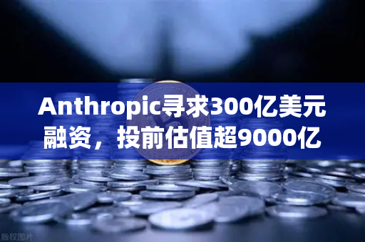 Anthropic寻求300亿美元融资，投前估值超9000亿，AI泡沫还是新起点？