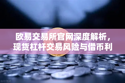 欧易交易所官网深度解析，现货杠杆交易风险与借币利息计算全攻略-第1张图片-欧易交易所