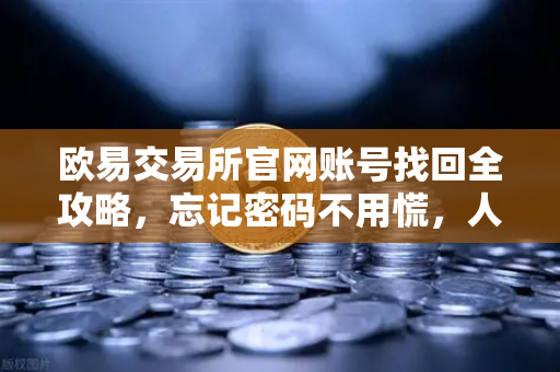 欧易交易所官网账号找回全攻略，忘记密码不用慌，人脸识别一键搞定-第1张图片-欧易交易所