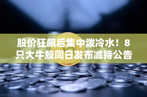 股价狂飙后集中泼冷水！8只大牛股同日发布减持公告，市场风向要变？