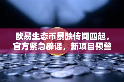 欧易生态币暴跌传闻四起，官方紧急辟谣，新项目预警背后的真相与投资警示