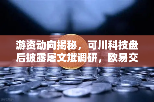 游资动向揭秘,可川科技盘后披露屠文斌调研,欧易交易所官网追踪主力资金新动向-第1张图片-欧易交易所 游资动向揭秘,可川科技盘后披露屠文斌调研,欧易交易所官网追踪主力资金新动向-第1张图片-欧易交易所