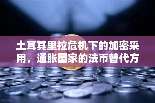 土耳其里拉危机下的加密采用，通胀国家的法币替代方案实证