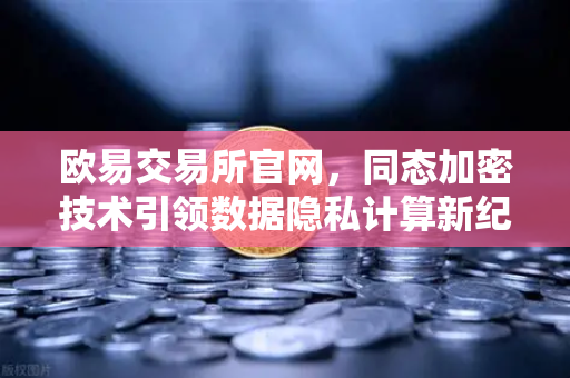 欧易交易所官网，同态加密技术引领数据隐私计算新纪元-第1张图片-欧易交易所