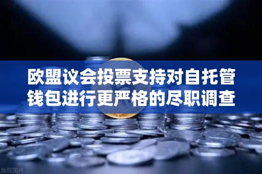 欧盟议会投票支持对自托管钱包进行更严格的尽职调查，加密行业迎来新监管时代-第1张图片-欧易交易所