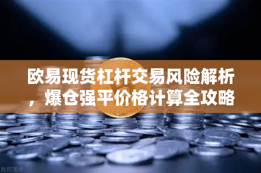 欧易现货杠杆交易风险解析，爆仓强平价格计算全攻略-第1张图片-欧易交易所