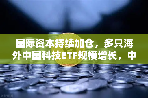 国际资本持续加仓，多只海外中国科技ETF规模增长，中概股与加密资产联动迎来新机遇-第1张图片-欧易交易所