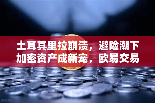 土耳其里拉崩溃，避险潮下加密资产成新宠，欧易交易所下载量激增-第1张图片-欧易交易所