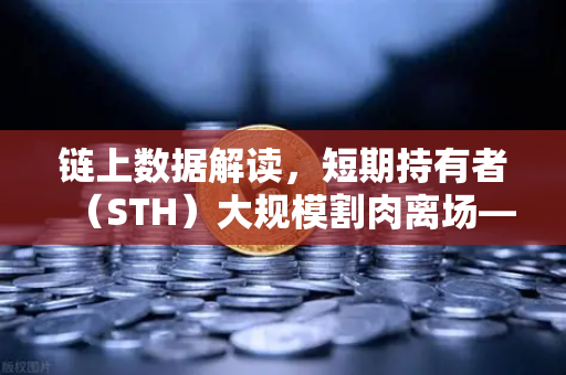 链上数据解读，短期持有者（STH）大规模割肉离场—市场底部信号已现？-第1张图片-欧易交易所