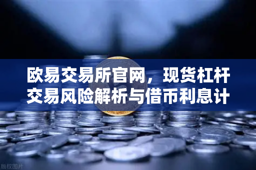 欧易交易所官网，现货杠杆交易风险解析与借币利息计算全攻略-第1张图片-欧易交易所