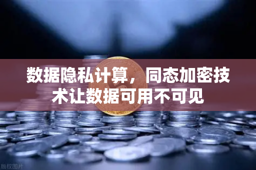 数据隐私计算，同态加密技术让数据可用不可见-第1张图片-欧易交易所