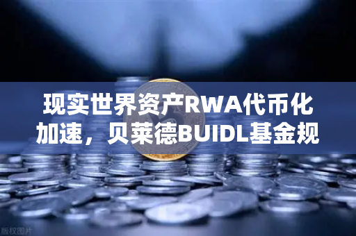 现实世界资产RWA代币化加速，贝莱德BUIDL基金规模翻倍，欧易交易所引领Web3新浪潮-第1张图片-欧易交易所