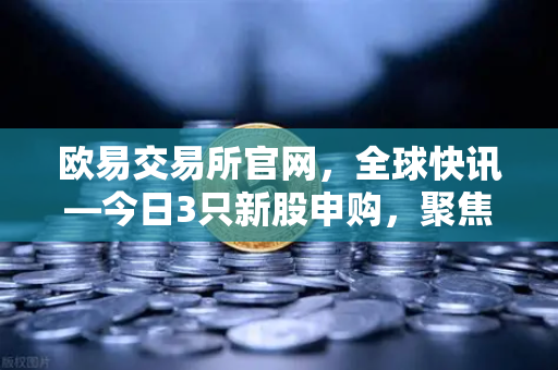 欧易交易所官网，全球快讯—今日3只新股申购，聚焦全球民用制冰机龙头投资机遇-第1张图片-欧易交易所