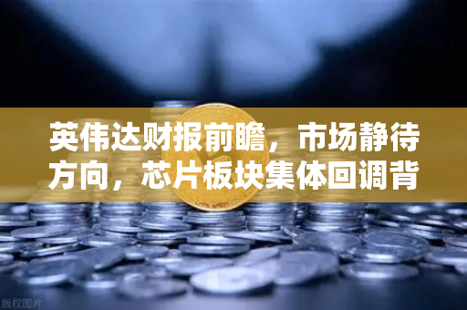 英伟达财报前瞻，市场静待方向，芯片板块集体回调背后的真相-第1张图片-欧易交易所