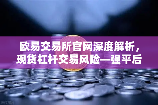 欧易交易所官网深度解析，现货杠杆交易风险—强平后你的资产会发生什么？-第1张图片-欧易交易所