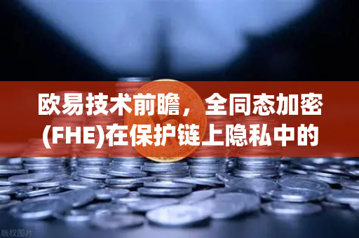欧易技术前瞻,全同态加密(FHE)在保护链上隐私中的潜力与应用-第1张图片-欧易交易所 欧易技术前瞻,全同态加密(FHE)在保护链上隐私中的潜力与应用-第1张图片-欧易交易所