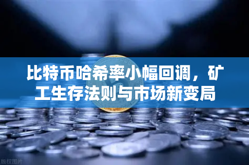 比特币哈希率小幅回调，矿工生存法则与市场新变局-第1张图片-欧易交易所